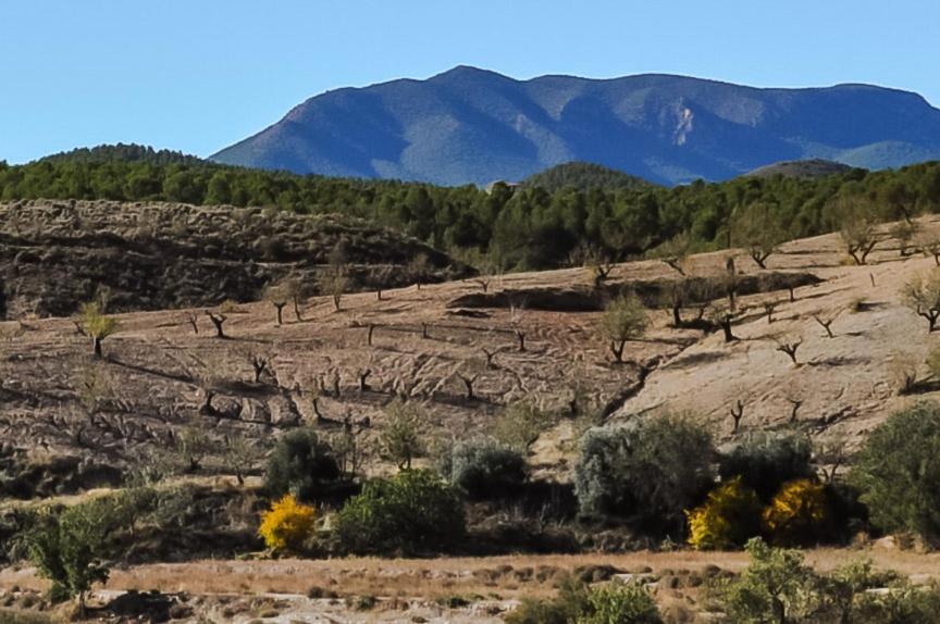 Casa La Sorpresa Βίλα La Ermita Εξωτερικό φωτογραφία