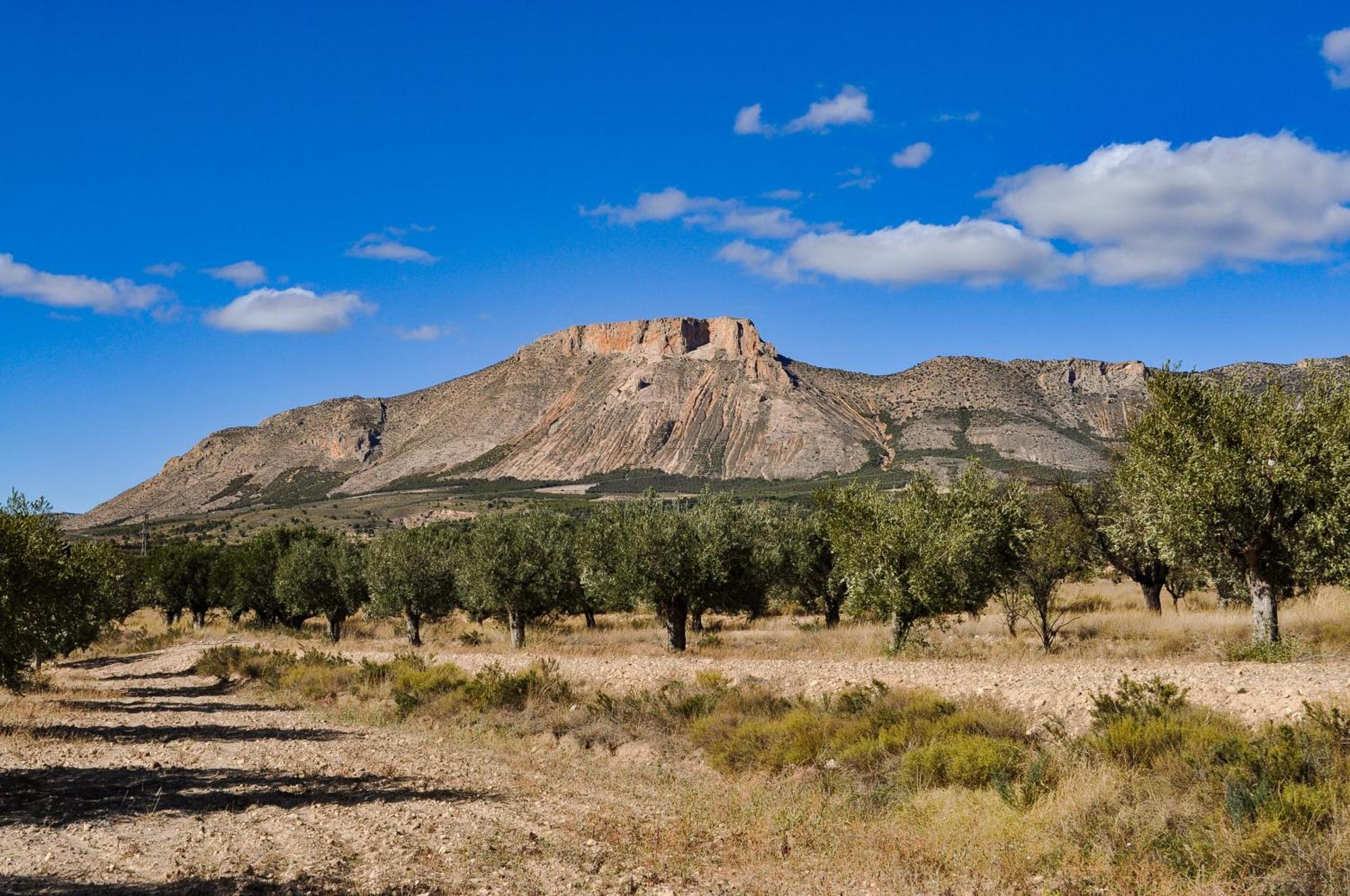 Casa La Sorpresa Βίλα La Ermita Εξωτερικό φωτογραφία