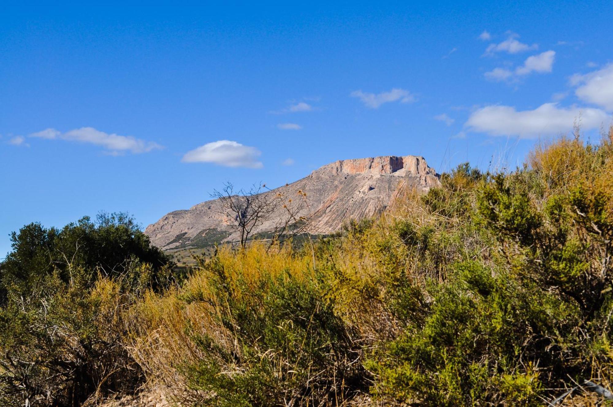 Casa La Sorpresa Βίλα La Ermita Εξωτερικό φωτογραφία