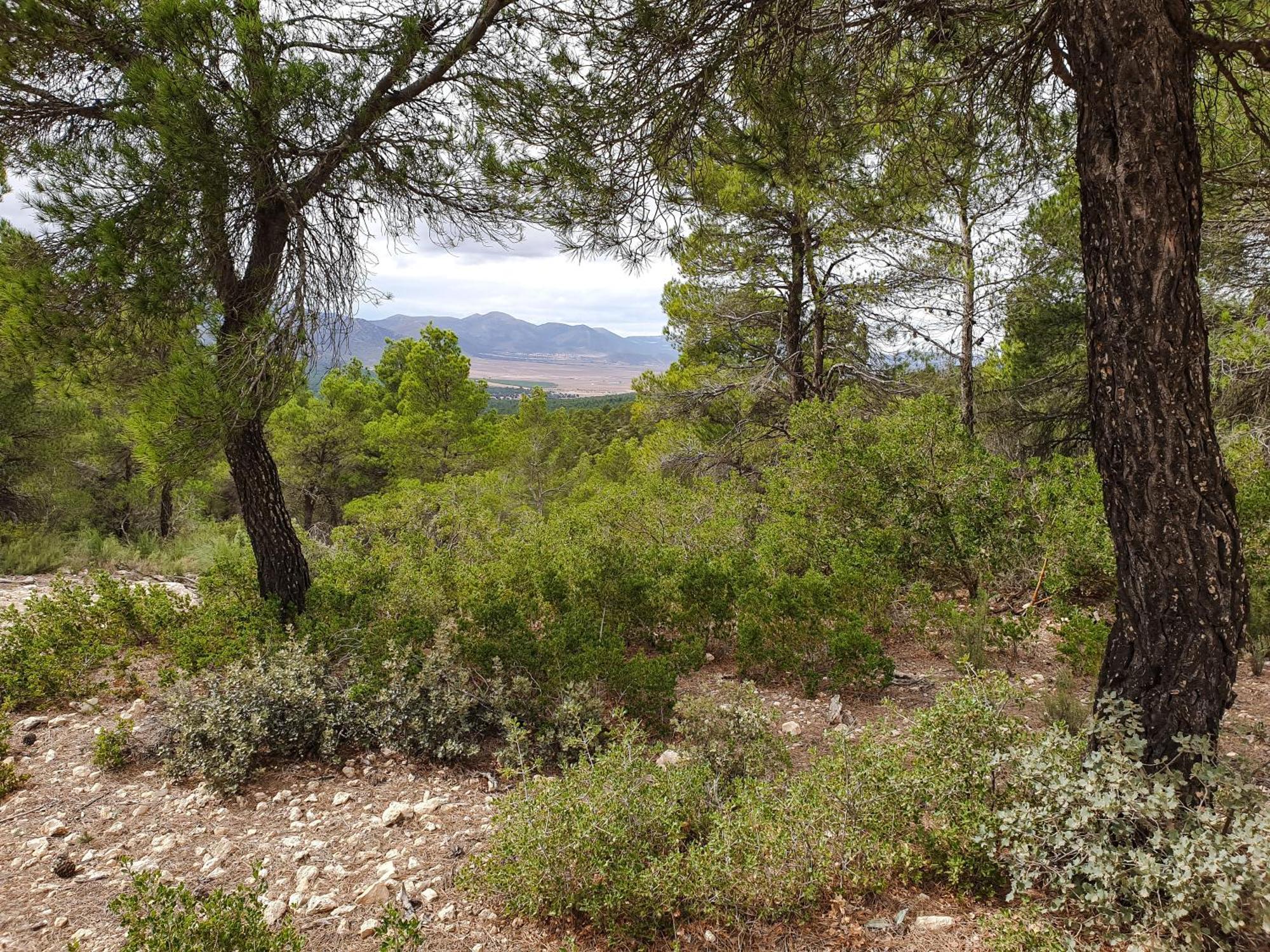 Casa La Sorpresa Βίλα La Ermita Εξωτερικό φωτογραφία